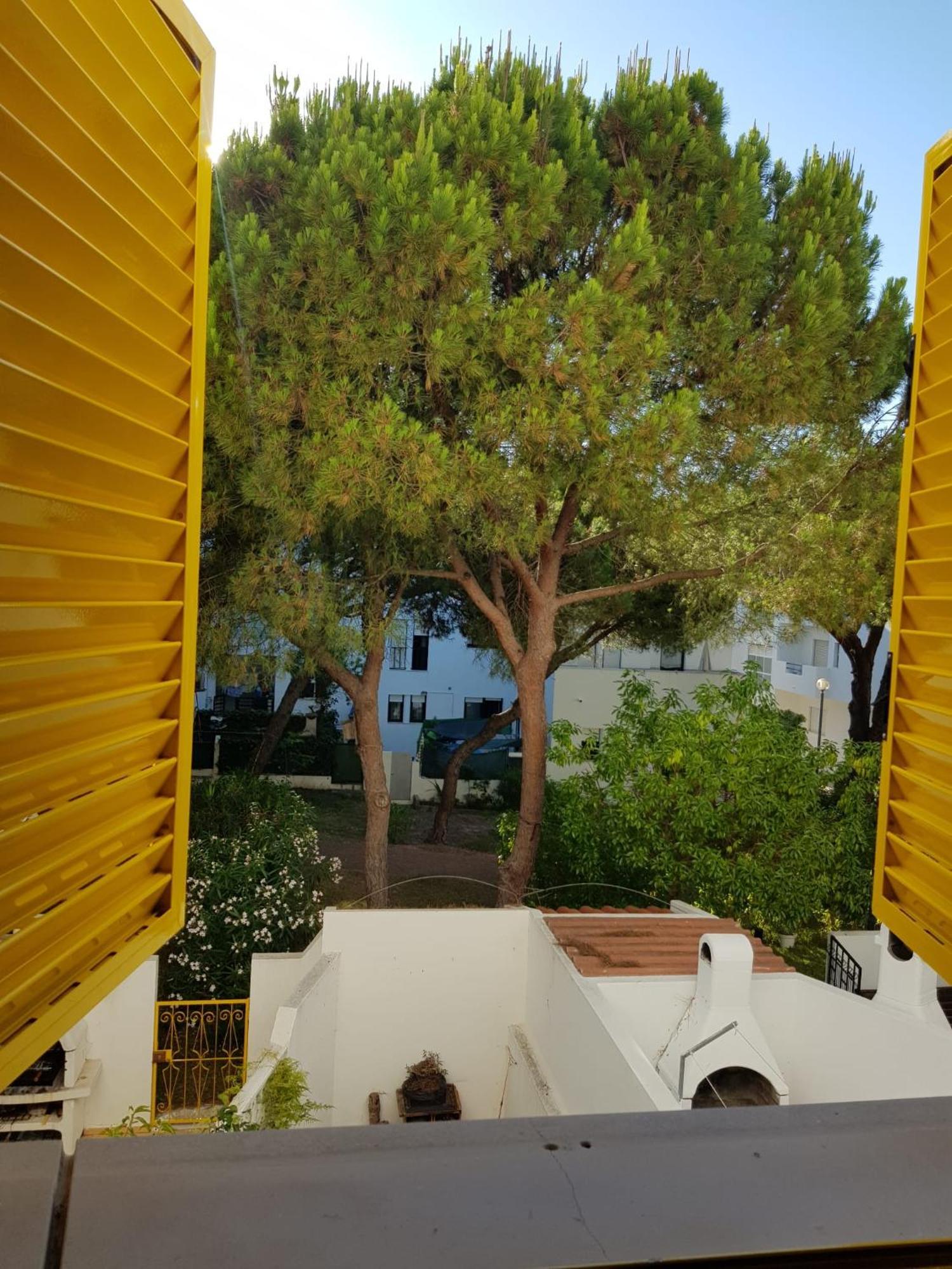 GelbBlau Falésia Albufeira Extérieur photo
